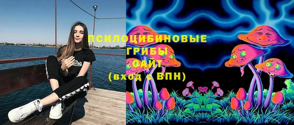 ГАЛЛЮЦИНОГЕННЫЕ ГРИБЫ Арсеньев